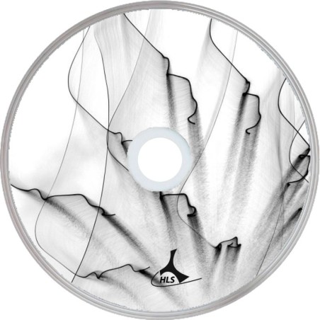 Abstrakt 30