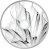 Abstrakt 30