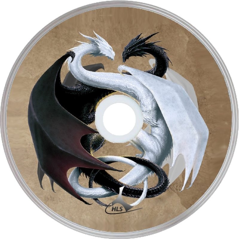 Drache 04 Drache 04