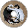 Drache 04