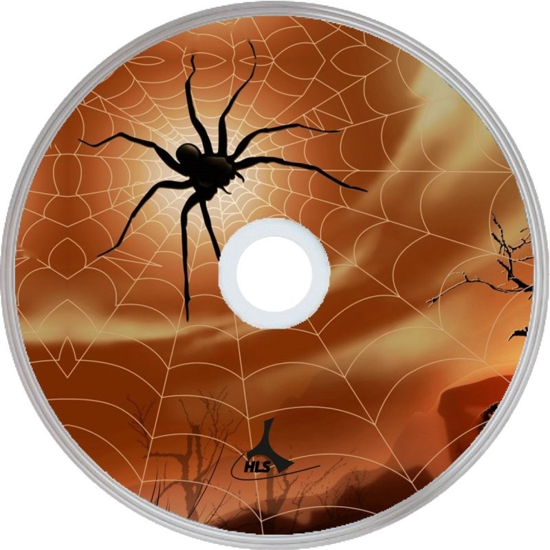 Spider 02 Spider 02
