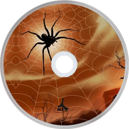 Spider 02
