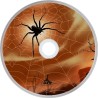 Spider 02