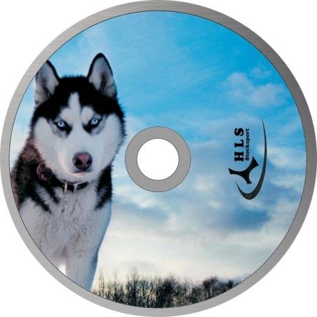 Wolf 07