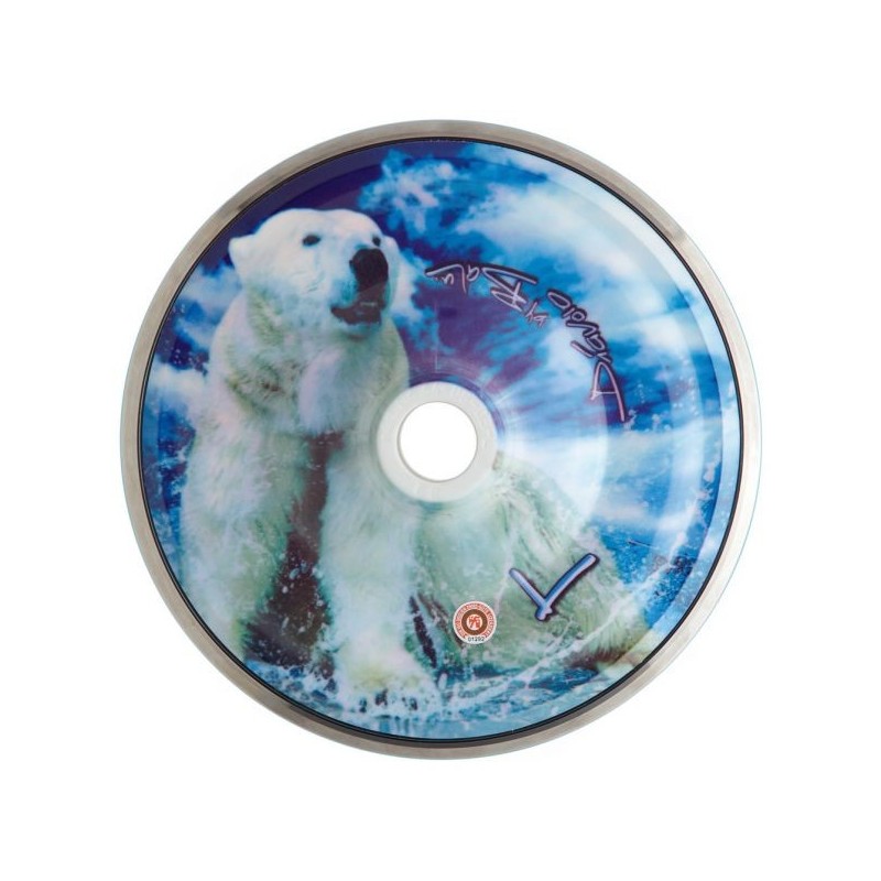 Eisbear Eisbear